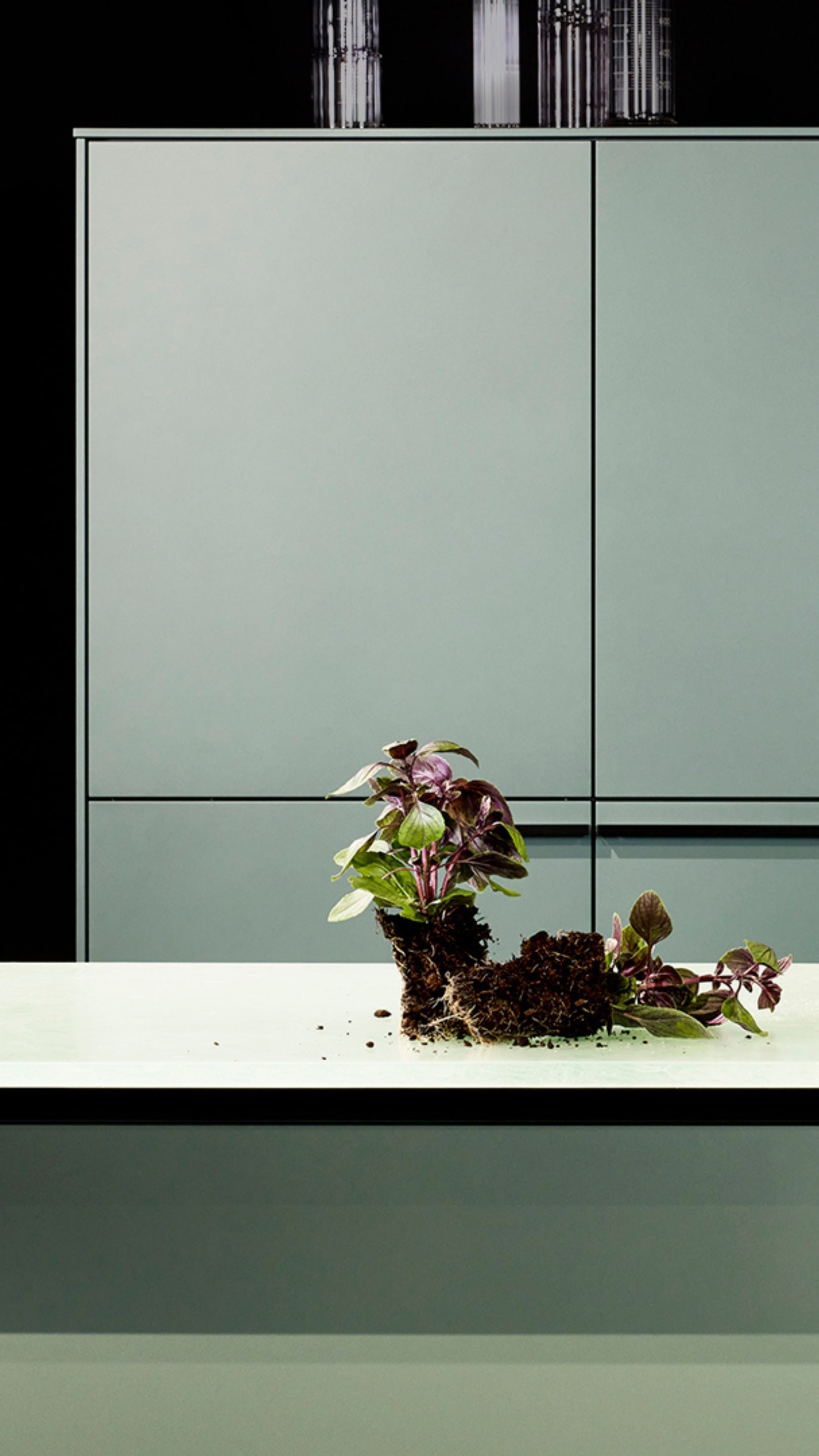 Linienstraße dortmund preise